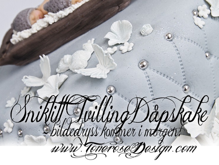 IMG_4960 tvilllingdåpskake