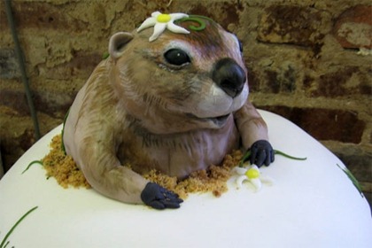 groundhog-cake