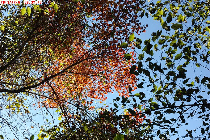 2013_1206_093210 2013_1206_093210