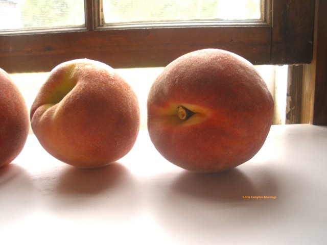 [Peaches4.jpg]