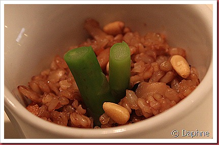 IMG_1737 IMG_1737
