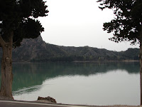 DSC08056.JPG Photo