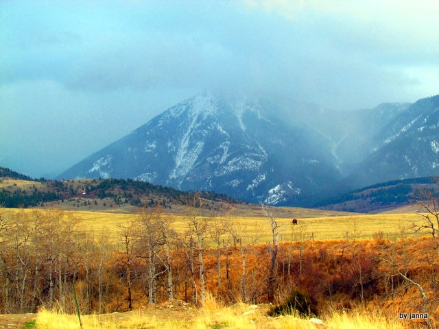 [IMG_2821%255B4%255D.jpg]