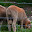 DSC_0422.jpg