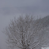 DSC01584.JPG