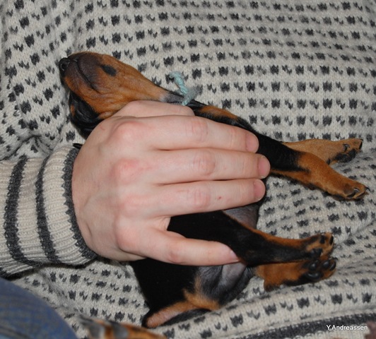 [DSC_4949%255B2%255D.jpg]