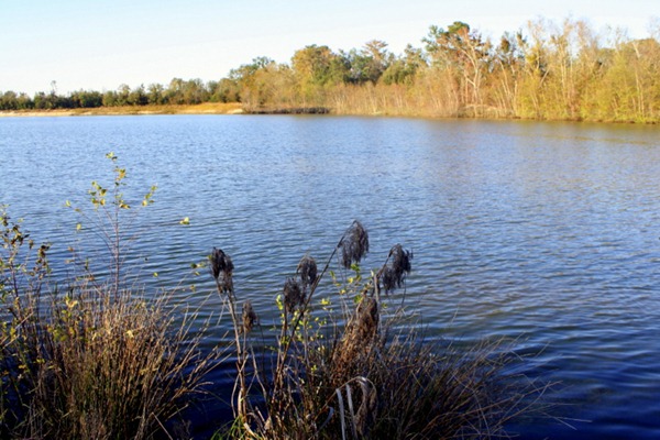 Pumpkin Spice Lattes, Friends, and Walking Trails 101