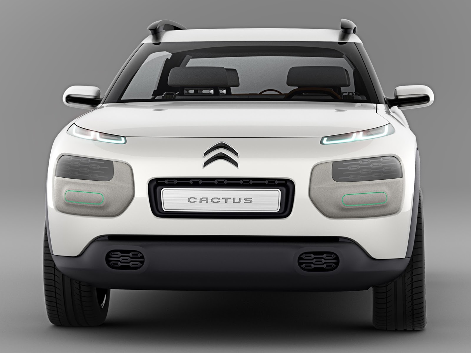 [Citroen-Cactus-Concept-1%255B3%255D.jpg]