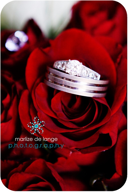 [IMG_9421%2520aa%255B5%255D.jpg]