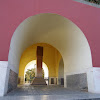 IMGP7395.JPG