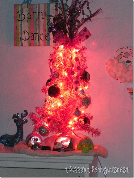 december 2011 005 december 2011 005