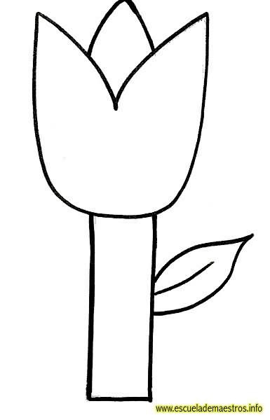 [tulipan-01%255B2%255D.jpg]