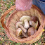 A collection of fat Ceps
www.radicalfish.eu
http://www.skibreezy.com