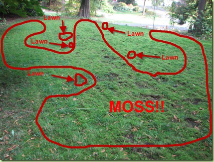 Moss1