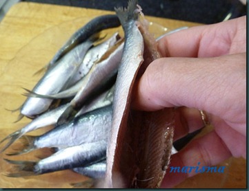 sardinas rebozadas2 copia