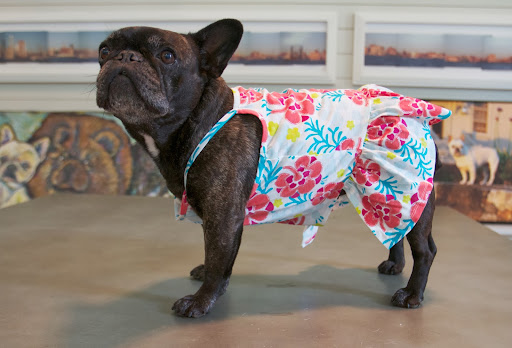 Sharkey, I'm looking fabulous in the Sea Hibiscus Dress. The bright hibiscus designs stand out against the ruffled trim and the ruffle has a high-cut belly for easy movement. Sharkey, I'm looking fabulous in the Sea Hibiscus Dress. The bright hibiscus designs stand out against the ruffled trim and the ruffle has a high-cut belly for easy movement.
