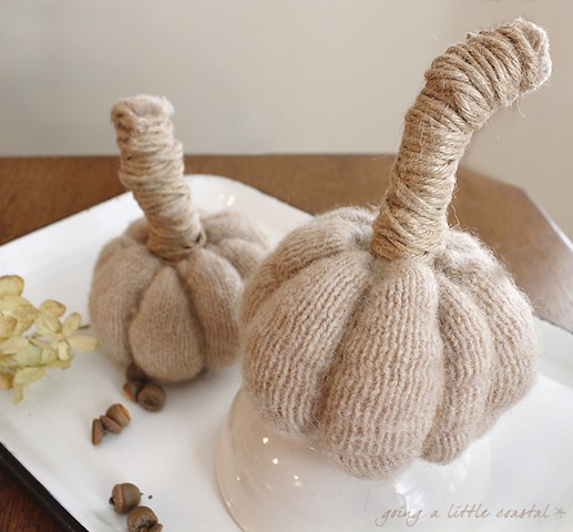 [pumpkins4%2520copy%255B6%255D.jpg]