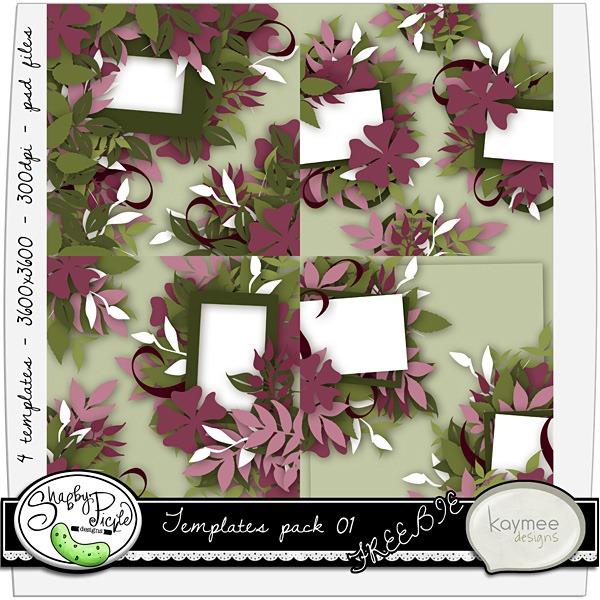 [-preview-kaymeedesigns-templatespack.jpg]
