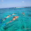  Snorkel Buck Island Reef 