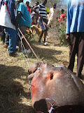 South Africa - 223.JPG