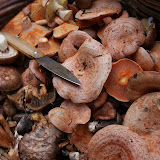 DSC04048.JPG