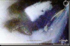 anomalia (31) anomalia (31)
