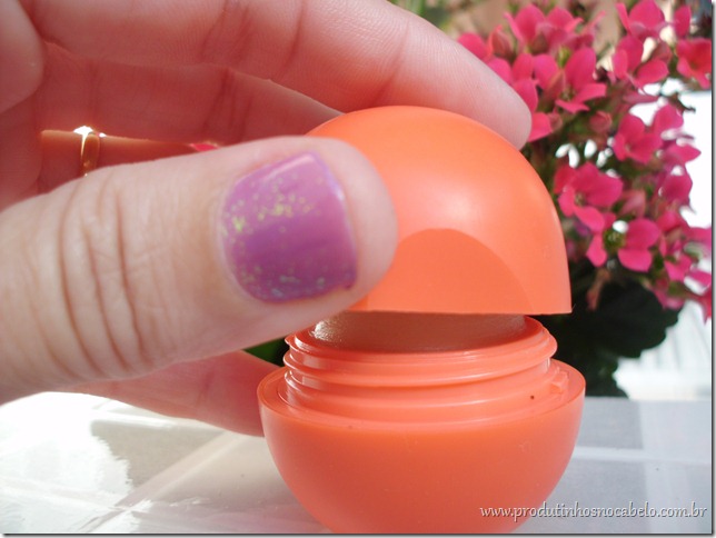 Lip Balm Orgânico Lip Balm Orgânico