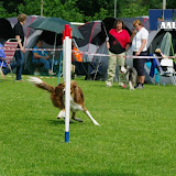 IMGP6938.JPG