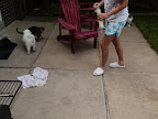 crash