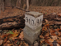 dsc05386.jpg