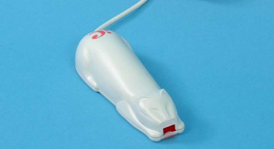 [CueCat015.jpg]