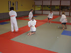 Judo - 3 juli 2009: Foto