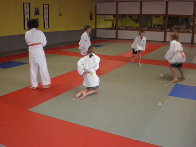 Judo - 3 juli 2009: Foto