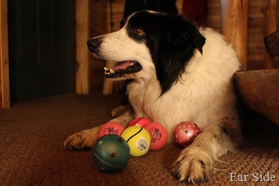 Six new balls Six new balls