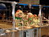 View DSC05273.JPG