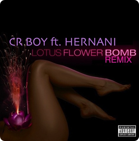 CR Boy - Lotus Flower Bomb (Remix) Feat Hernani da Silva