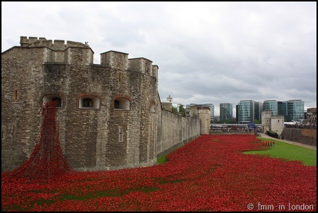 The ceramic poppies at the Tower of London