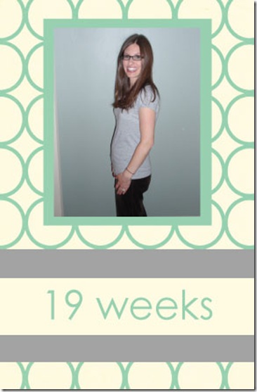 19-weeks