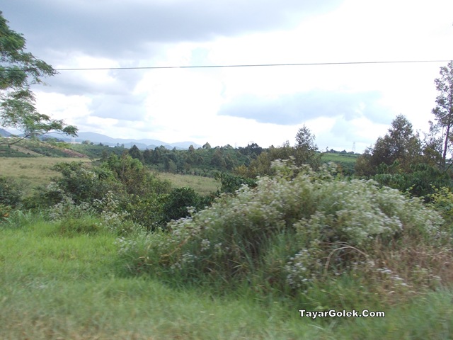 [DSCN20122.jpg]