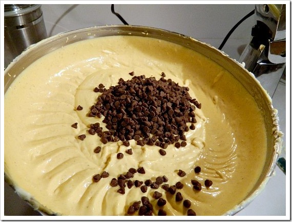 Cheesecake Chocolate Chips (550x413) (2)