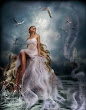 Wiccan Birds