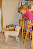IMG_0113-2.JPG