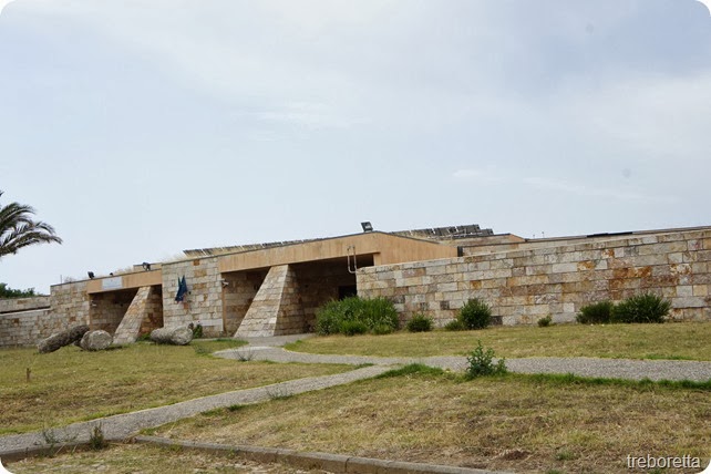 DSC DSC