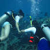  Scuba Dive Buck Island Reef