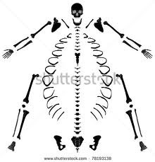 [unassembed%255B2%255D.jpg]