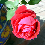 DSC04473.jpg