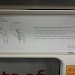 IMG_20111203_115923.jpg