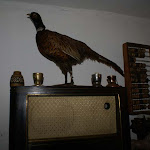 DSC00917.jpg