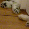 RSCN0264.JPG
