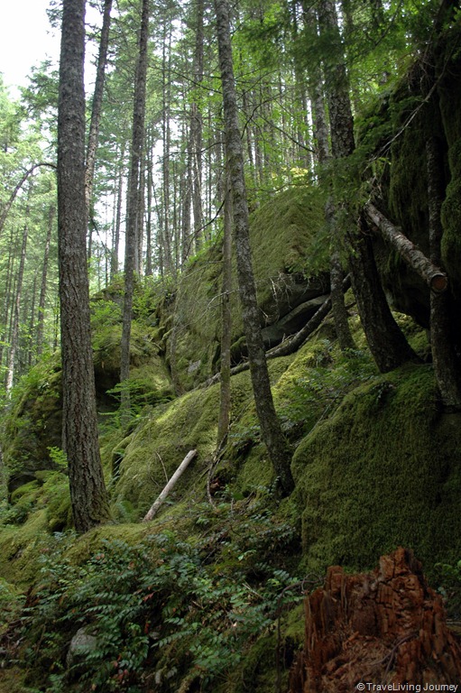 [NorthCascadeNP%2520118%255B5%255D.jpg]